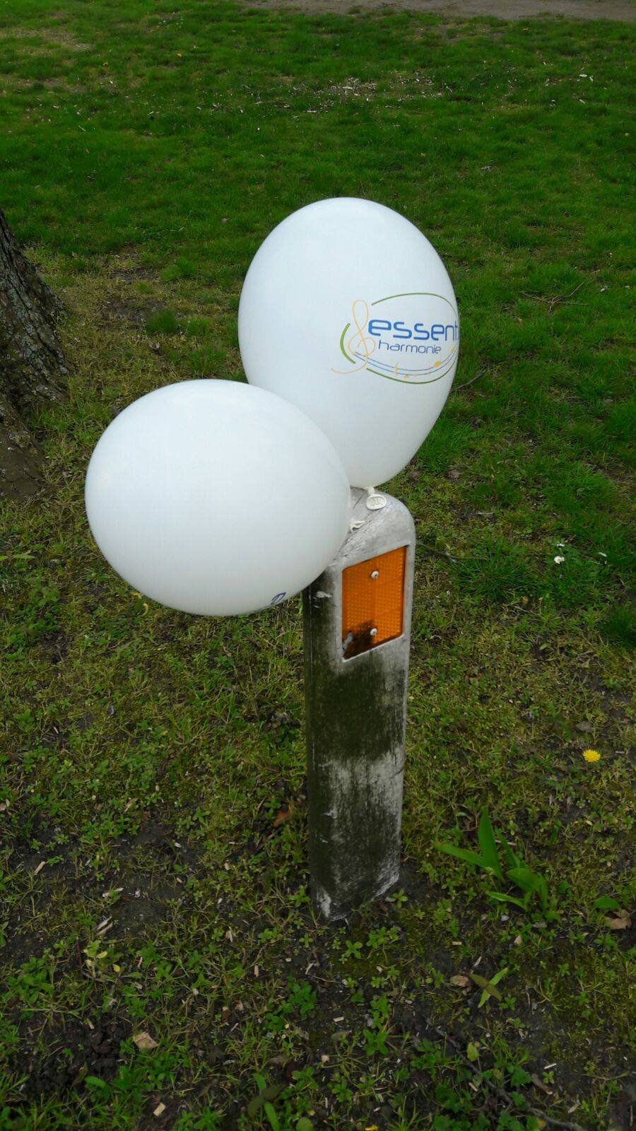 15/04/2017 Promoteam Essense Paasloop 10mijl