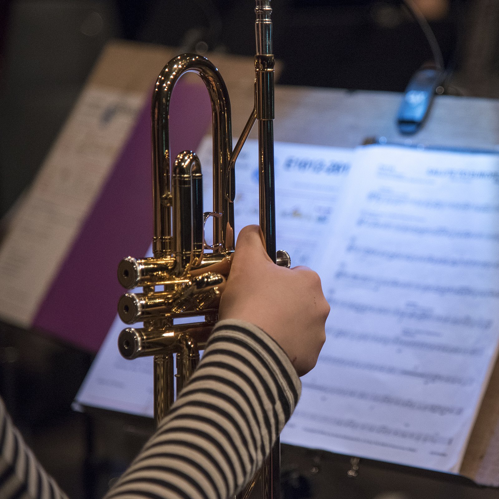 10/12/2016 Jaarconcert 'Reis rond de wereld'