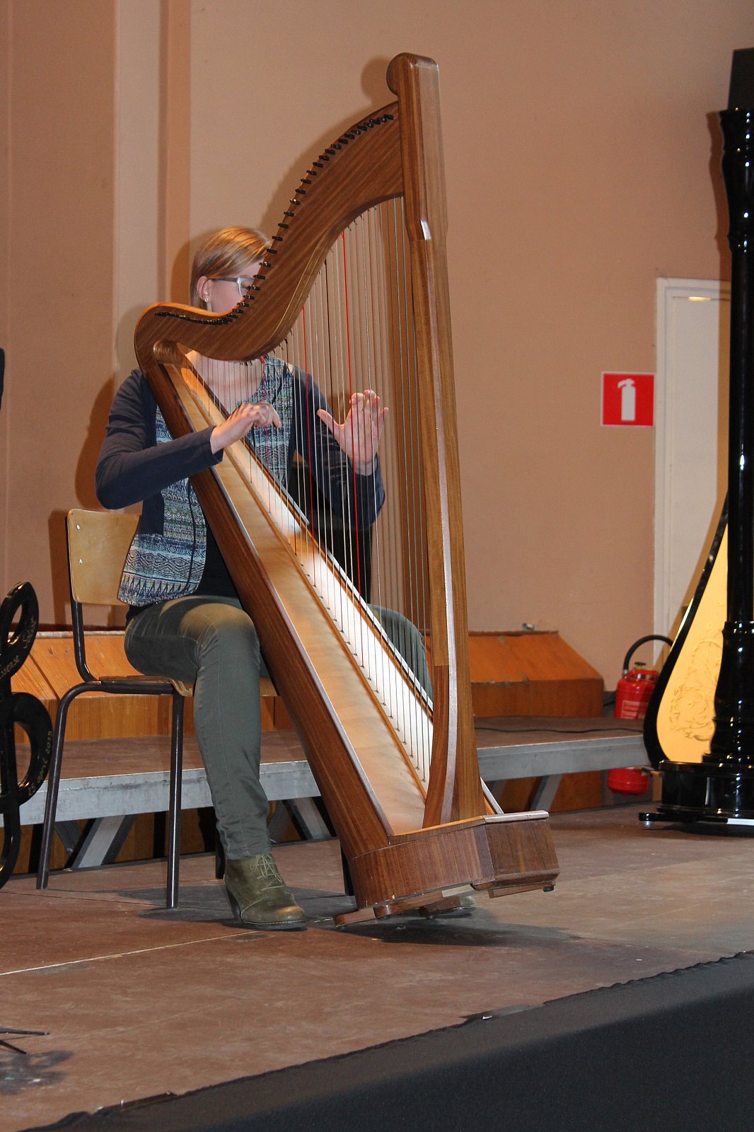 25/04/2015 Dag van de Essense Solist